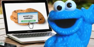 Even Cookie Monster Sick of Accepting All Cookies 3