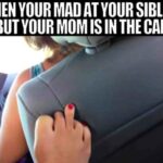 Sibling Memes Are All Too Relatable (30 Photos) 28