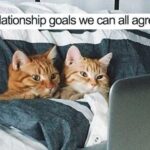 These relationship memes would still love you if you were a worm (30 Photos) 11