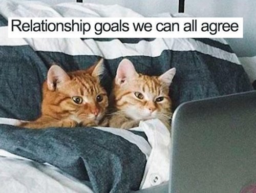 These relationship memes would still love you if you were a worm (30 Photos) 1