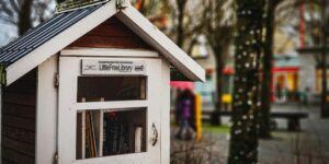 Maybe Read Me? A Plea from That One Decaying Book in the Little Library 9