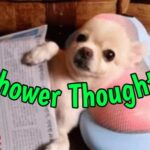 Shower Thoughts Are a Real Mindf**k! (17 GIFs) 9