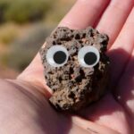 Why Your End-of-Year Bonus Is a Pet Rock 15