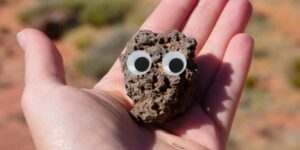 Why Your End-of-Year Bonus Is a Pet Rock 5