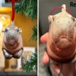 ‘Tis the Season To Be Failing! (27 Photos) 5