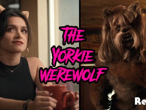 Review: ‘The Yorkie Werewolf’ perfectly weaves modern horror with pooches and pasta 1