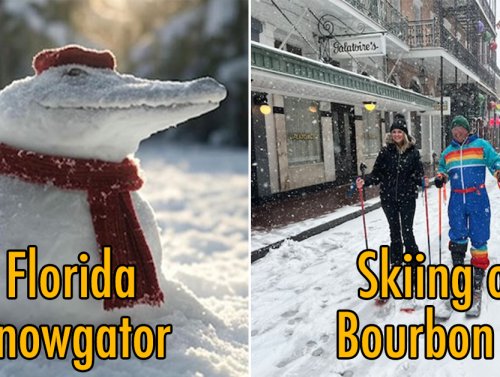 Southerners experiencing rare snowfall had the BEST reactions (18 Photos) 1