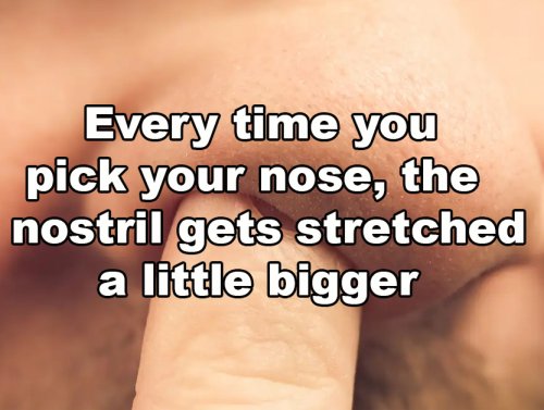 The lies our parents had us all convinced of as kids (18 GIFs) 1