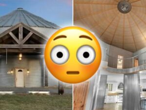 These are some of the most unhinged Zillow listings I’ve ever seen (25 Photos) 11