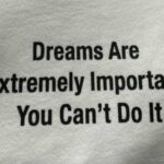 Shirts That Failed Spell Check but Passed the Vibe Check (35 Photos) 3