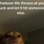 You Laugh, You Lose… Simple! (27 Photos) 5