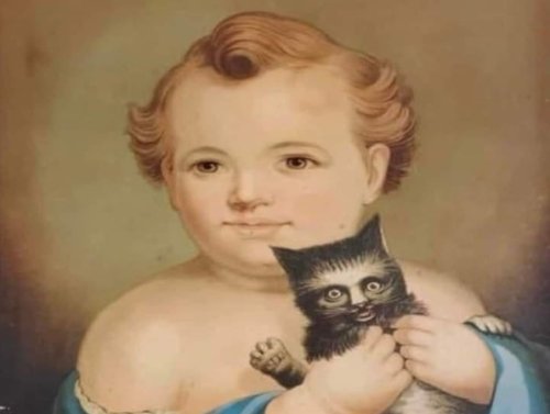 Cats Are Taking the Lead This Saturday (31 Photos) 1