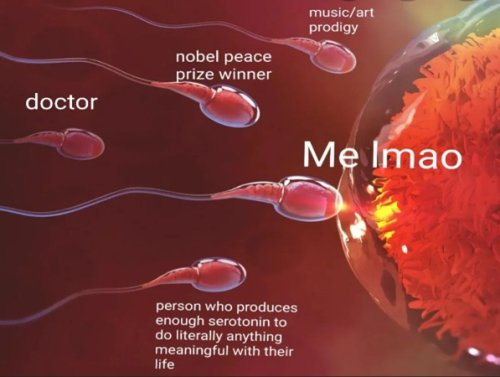 The Dank Memes Are Fresh Today (27 Photos) 1