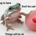 Wholesome Memes Bring the Good Vibes (28 Photos) 25