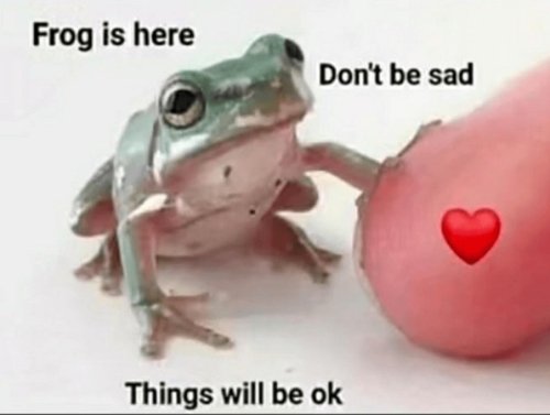 Wholesome Memes Bring the Good Vibes (28 Photos) 1