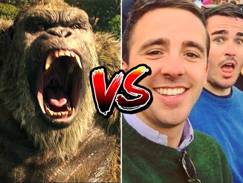 1 Gorilla Versus 100 Men: Who Would Win? The Internet Fiercly Debates 1