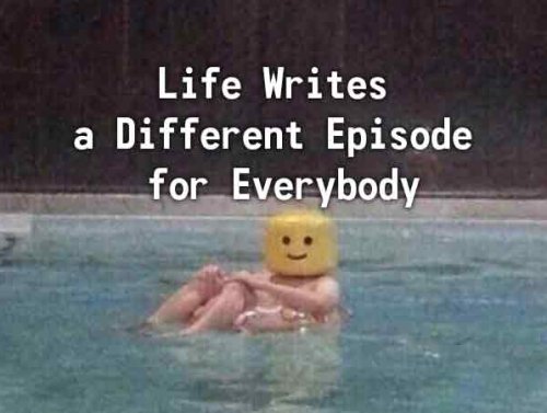 Life Writes a Different Episode for Everybody… (28 Photos) 1