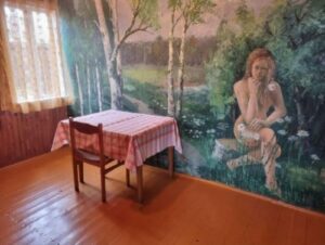 These Real Estate Listings Are So Bad They’re Good (26 Photos) 1