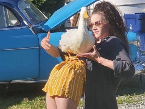Hmm… the Internet Is a Strange Place (25 Photos) 1