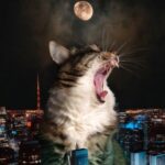 Bring Out the Milk: Cats Run the Show Now (Photos) 6