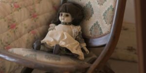 From Your Airbnb Host: Please Do Not Disturb Big Dolly 6