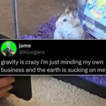 Moronic Memes 4 Dummies (32 Photos) 16