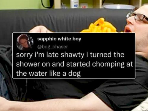 Silly Stupid Memes for Snoozy Saturday Sloths (33 Photos) 1