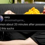 Silly Stupid Memes for Snoozy Saturday Sloths (32 Photos) 5