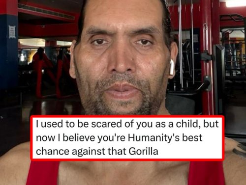 Some Insults Burn, Others Roundhouse You Into an Incinerator (29 Photos) 1