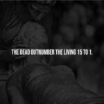 Creepy Facts That Will Chill You to the Bone (15 Photos) 9