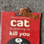 You Think YOU’RE Having a Bad Day? (25 Photos) 25