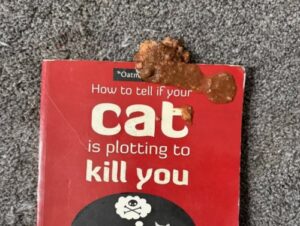You Think YOU’RE Having a Bad Day? (25 Photos) 17