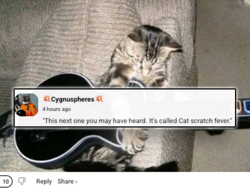 Top Comments of the week ain’t taking ‘No’ for an answer this week! (76 Photos) 1