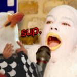 The Procrastination Report: Gull Screeching Championships 2