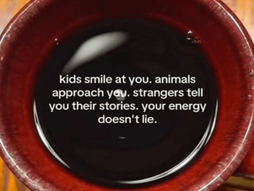 Welcome Back to the Happiest Corner of the Internet (25 Photos) 1
