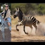 Asking the Internet for Photoshop Help Is Never A Good Idea… (Photos & GIFS) 3