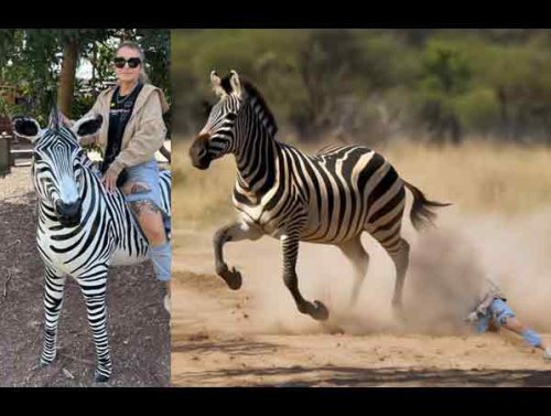 Asking the Internet for Photoshop Help Is Never A Good Idea… (Photos & GIFS) 1