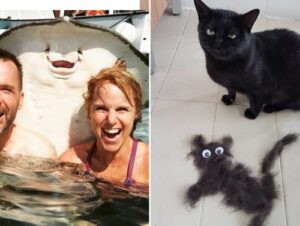 Animals, wild & domesticated, who are bringing us all to howl (50 Photos) 3