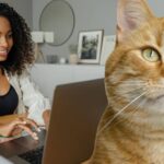 Are You an Adult Only Child Still Living at Home, or a House Cat? 15