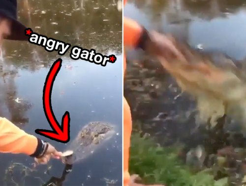 Instant Regret Is A Dish Best Served… Uploaded To The Internet (16 GIFs) 1