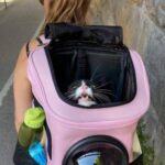 Blimey, It’s Saturday! Bring Out the Cats! (35 Photos) 17