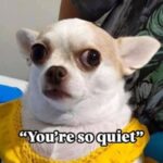 Parenting Memes Are Hilariously Relatable (25 Photos) 24