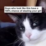 You looking for purrfect Cat Memes? We’ve got purrfect Cat Memes (25 Photos) 25