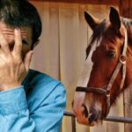 I’m the Inventor of Horse Idioms and You’re Misusing Every Single One 17