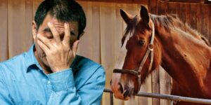I’m the Inventor of Horse Idioms and You’re Misusing Every Single One 5