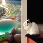 Photos that just feel so soothing to the soul…(37 Photos) 28