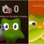 Don’t skip your lesson: Duolingo memes that threaten AND make us laugh (25 PHOTOs) 26