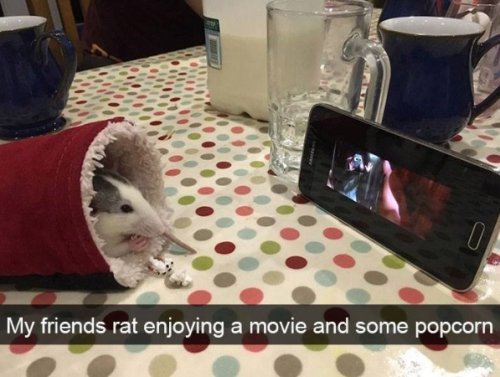 Happy Wholesomeness Lies Ahead (29 Photos) 1