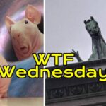 WTF Wednesday: You Can’t Help but Look 4