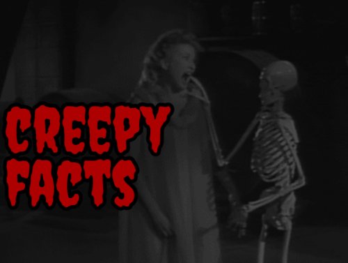 Creepy Photos That Will Chill You to the Bone (15 Photos) 1